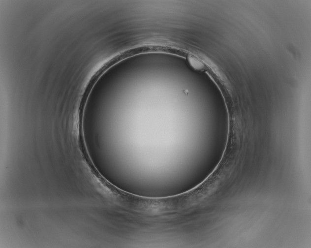 X0000112520791200908171353