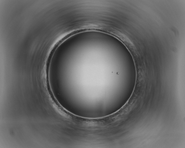 X0000112520792200908171353