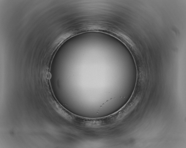 X0000112520793200908171353