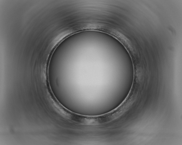 X0000112520794200908171353