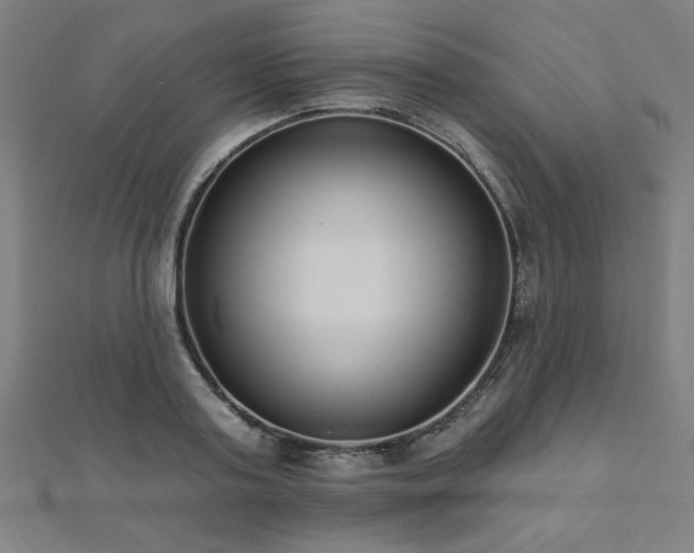 X0000112520795200908171353