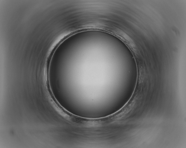 X0000112520796200908171353