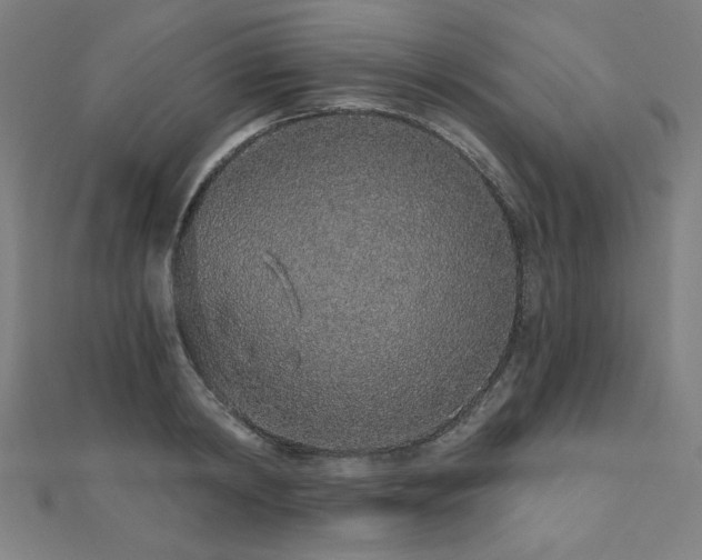 X0000112520798200908171353