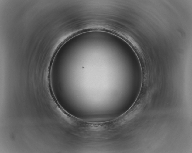 X0000112520799200908171353