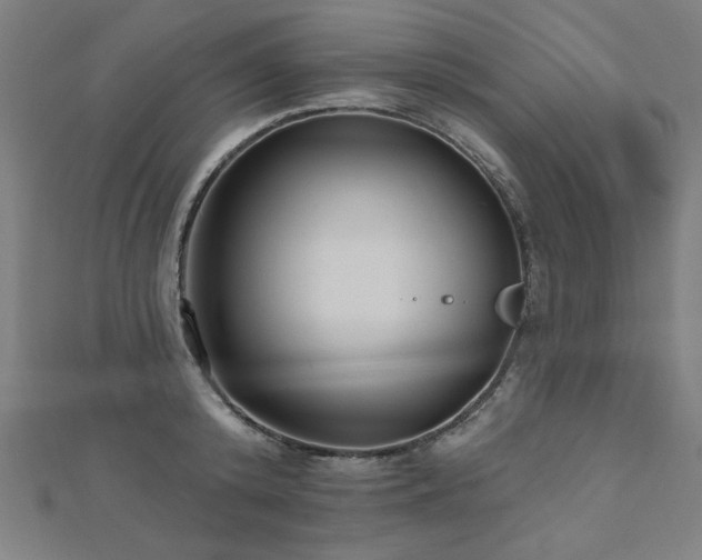 X0000112520800200908171353