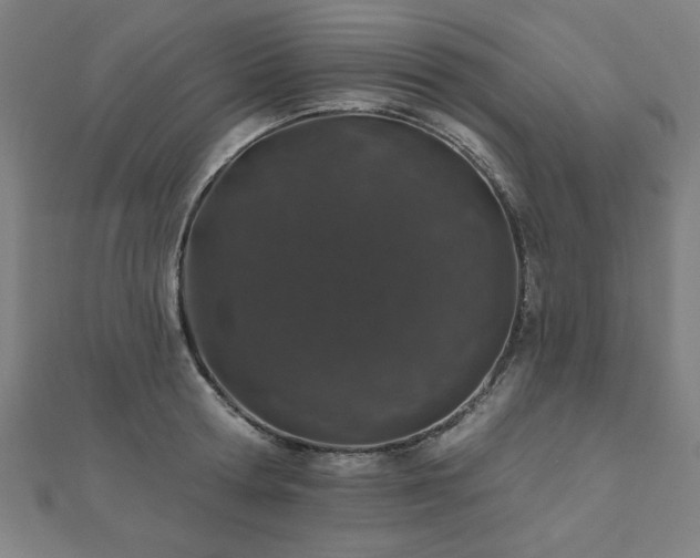 X0000112520802200908171353