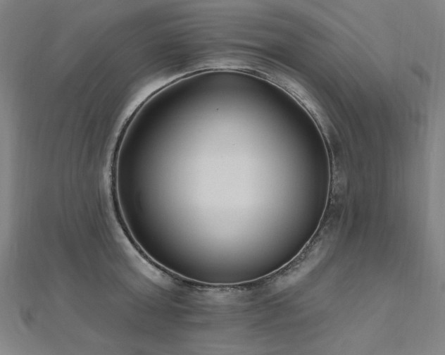 X0000112520803200908171353