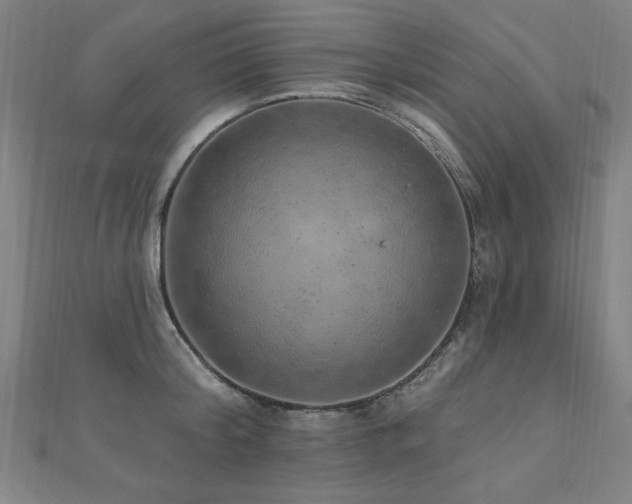 X0000112520804200908171353