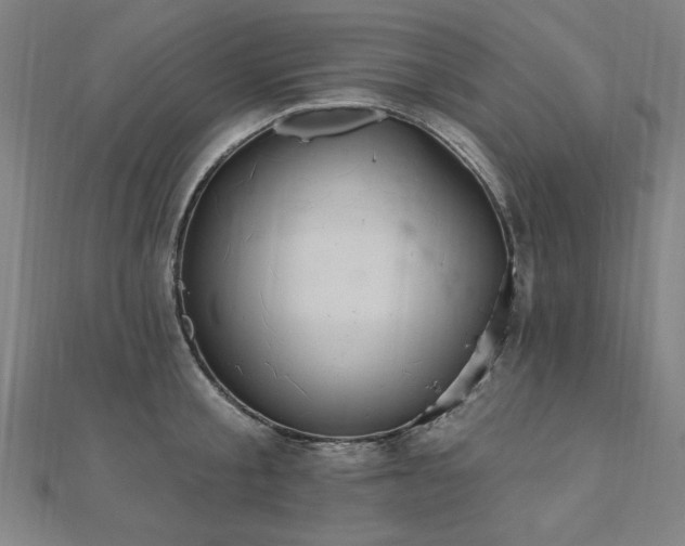 X0000112520805200908171353