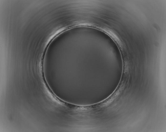 X0000112520806200908171353