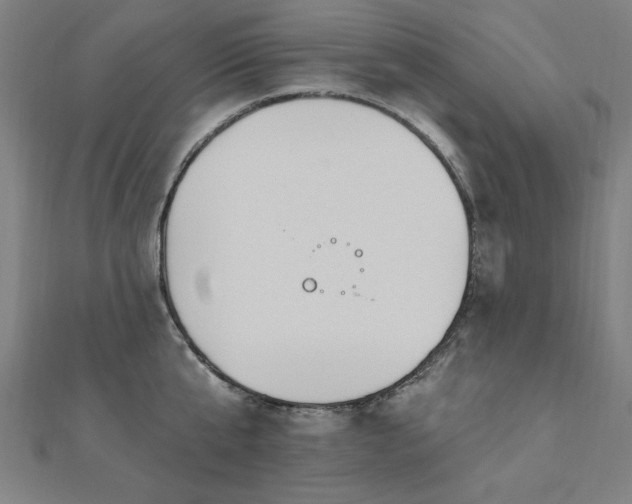 X0000112520807200908171353