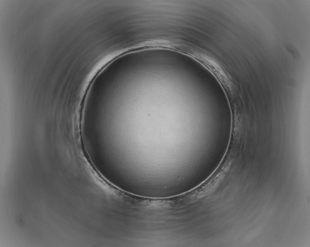 X0000112520808200908171353