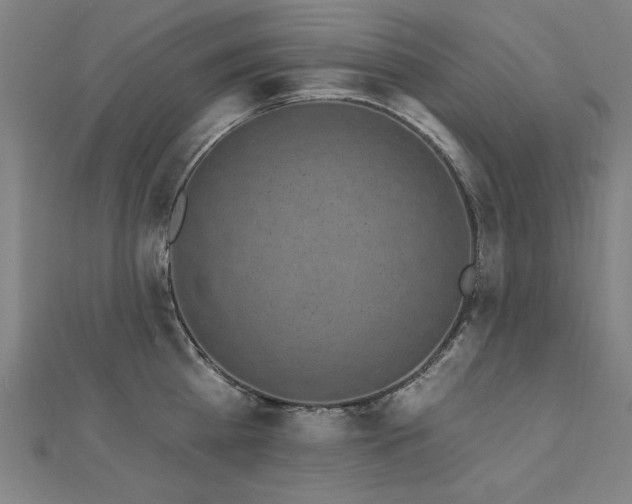 X0000112520809200908171353