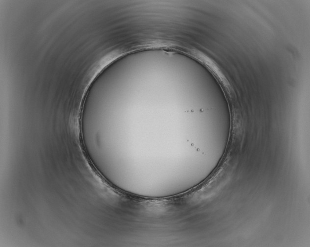 X0000112520810200908171353