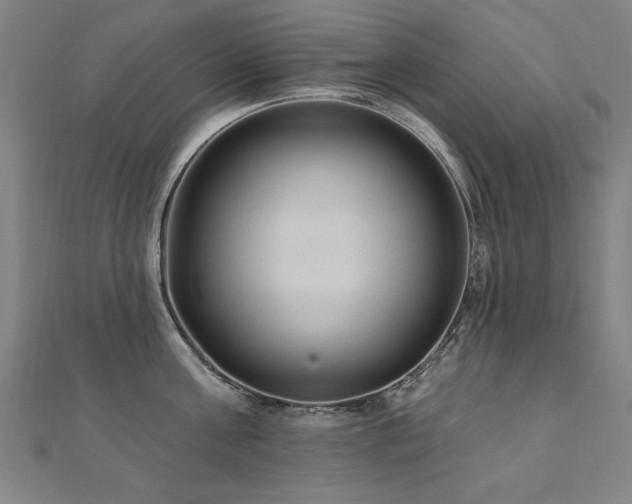 X0000112520811200908171353