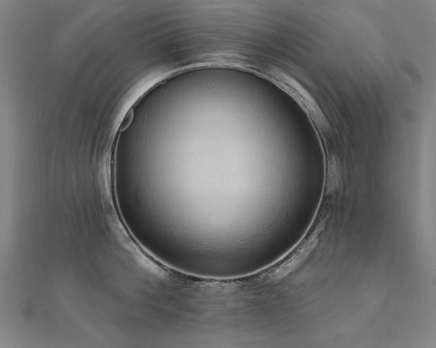 X0000112520812200908171353