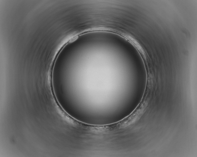 X0000112520813200908171353