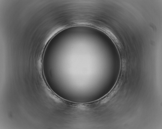 X0000112520814200908171353