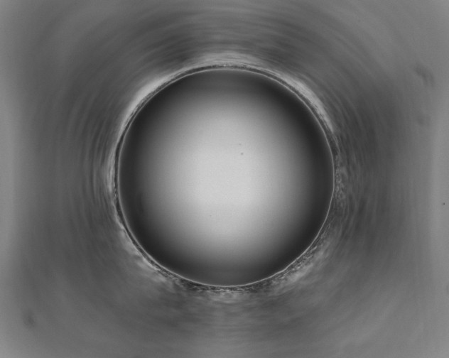 X0000112520815200908171353