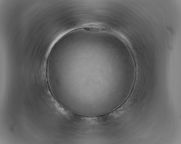 X0000112520816200908171353