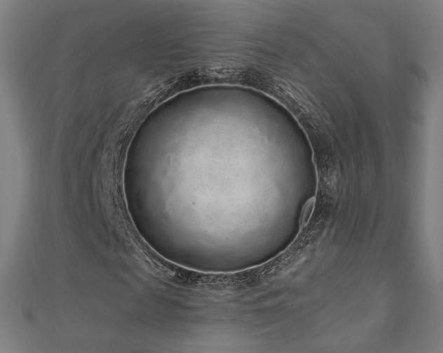 X0000112520817200908171352