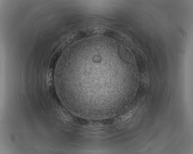 X0000112520818200908171352