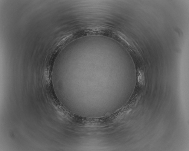 X0000112520819200908171352