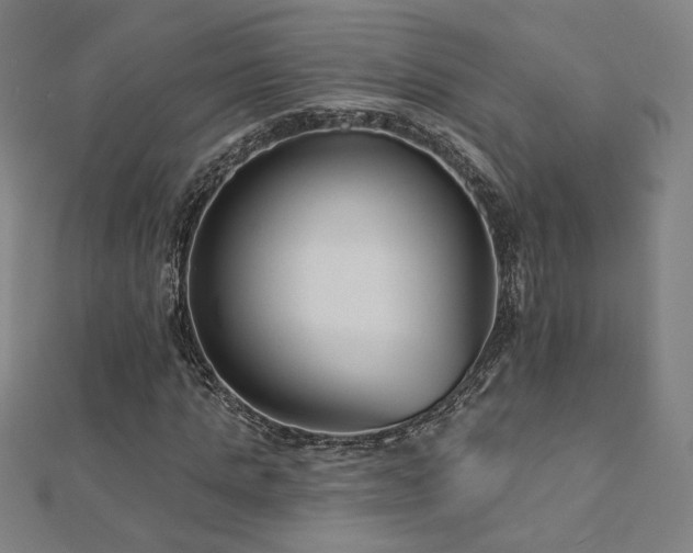 X0000112520821200908171352