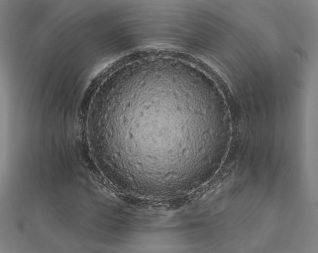 X0000112520823200908171353