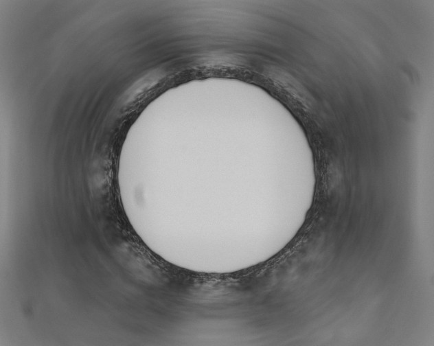 X0000112520824200908171353