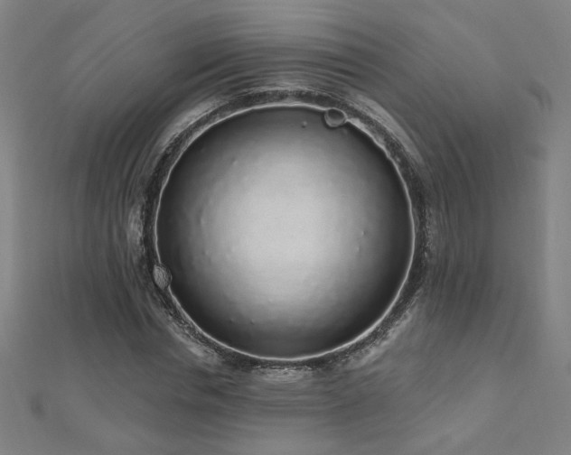 X0000112520826200908171353