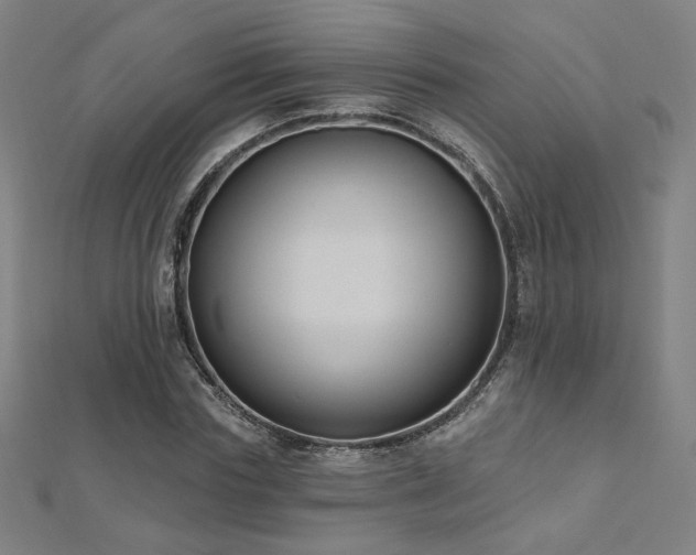 X0000112520827200908171353