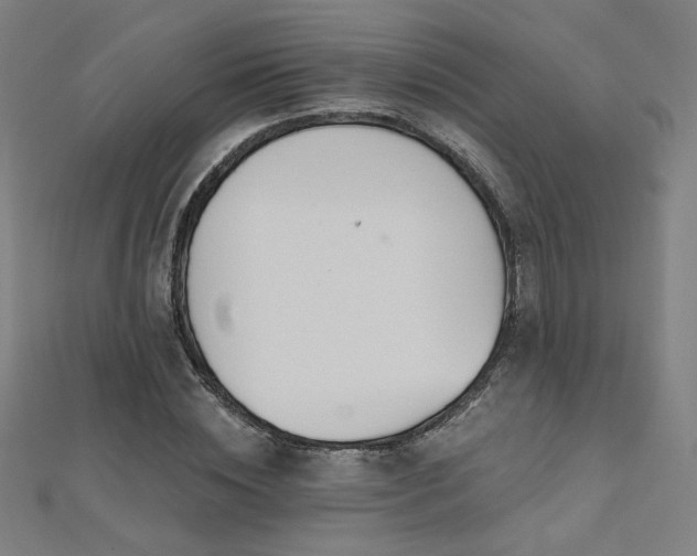 X0000112520828200908171353