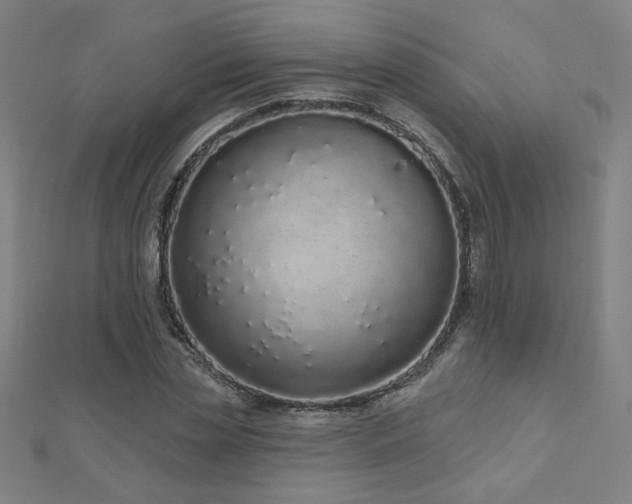 X0000112520829200908171353