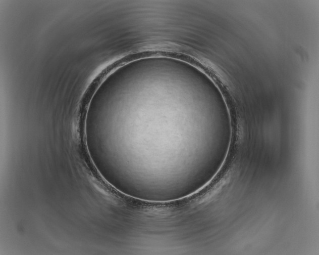 X0000112520830200908171353
