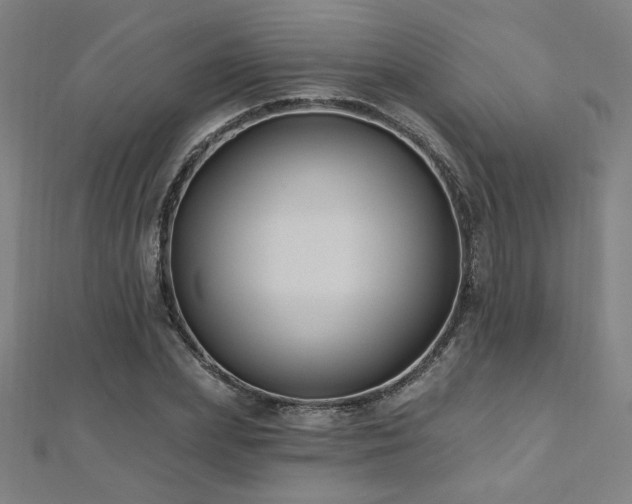 X0000112520831200908171353