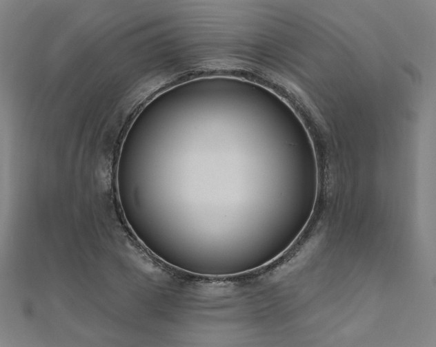 X0000112520833200908171353
