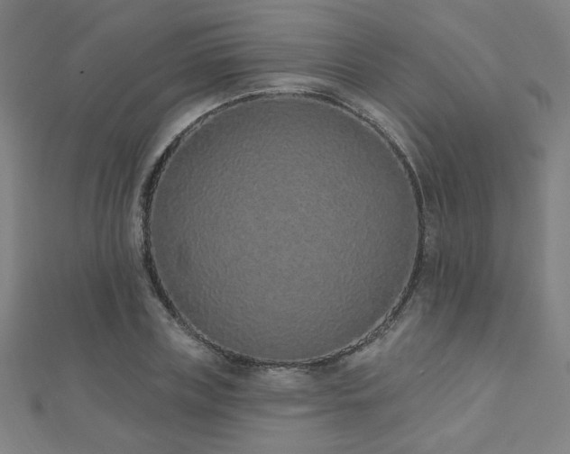X0000112520835200908171353