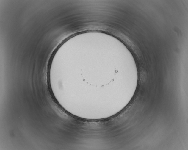 X0000112520836200908171353