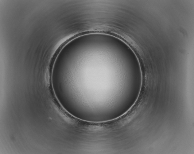 X0000112520838200908171353