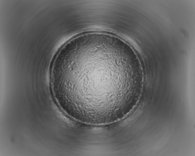 X0000112520839200908171353