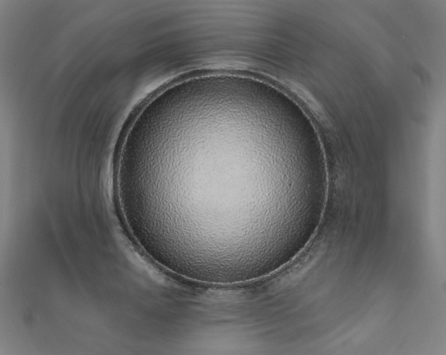 X0000112520840200908171353