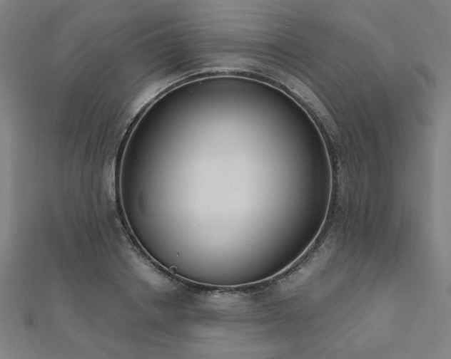 X0000112520842200908171353