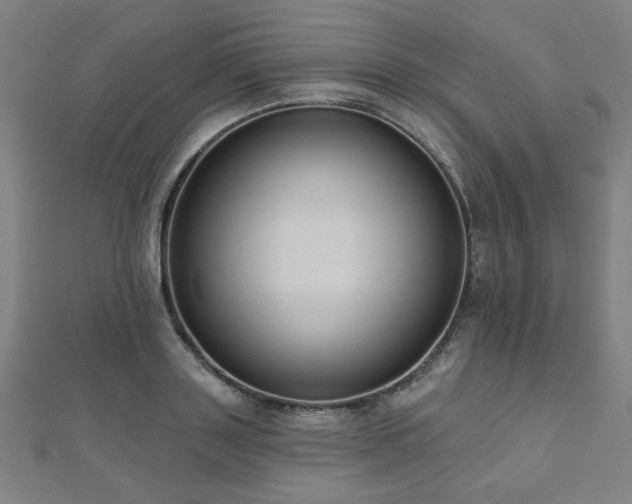 X0000112520843200908171353