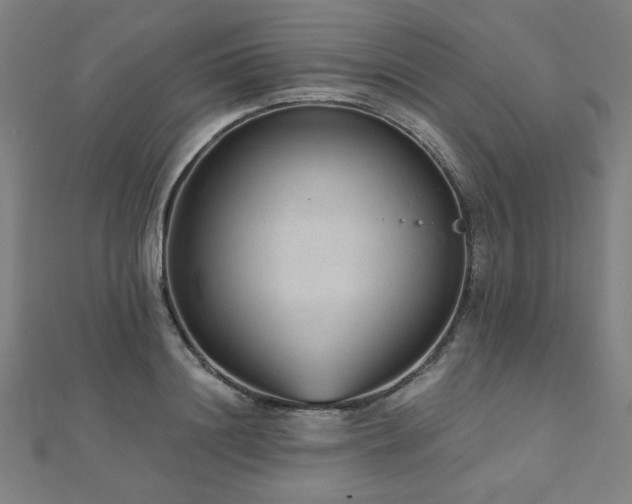 X0000112520844200908171353