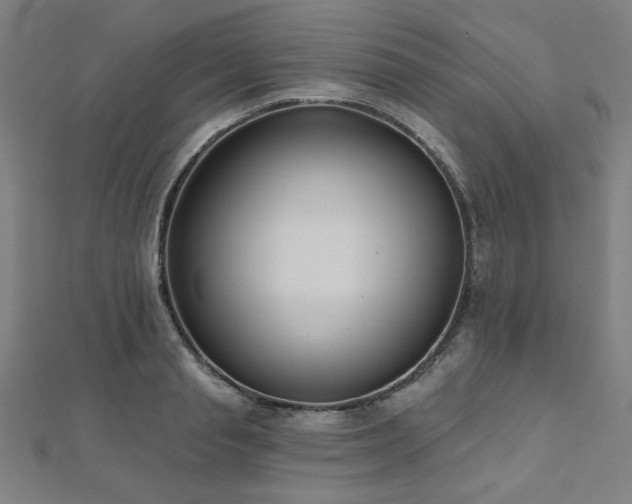 X0000112520845200908171353