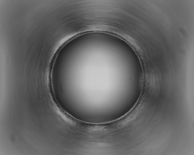 X0000112520846200908171353