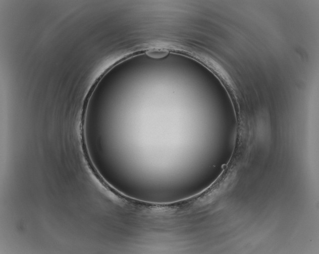 X0000112520847200908171353