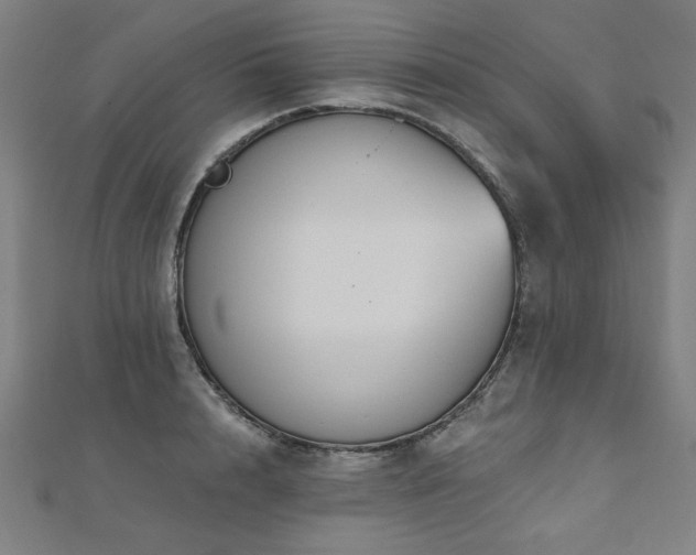 X0000112520848200908171353