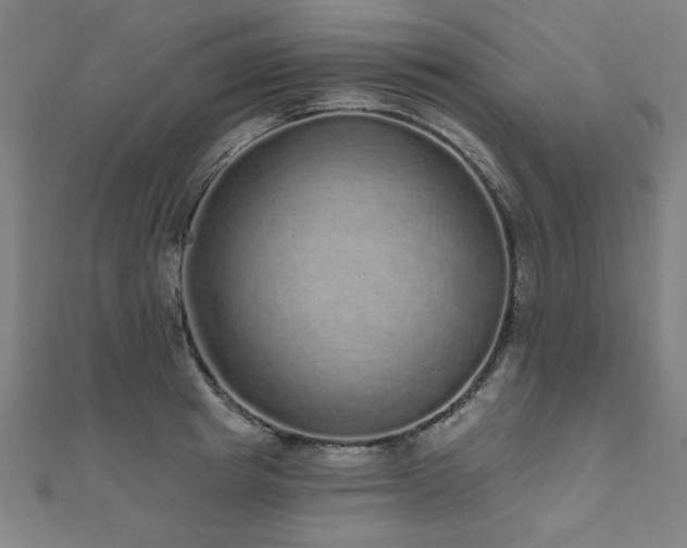 X0000112520849200908171353